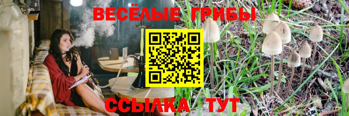 купить наркоту  Галлюциногенные грибы GOLDEN TEACHER  Псилоцибиновые грибы мицелий  Вход с VPN  Костомукша 